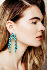 Darra Earrings - Elizabeth Cole Jewelry