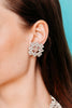 Lindsey Earrings - Elizabeth Cole Jewelry