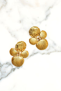 Shellette Earrings - Elizabeth Cole Jewelry