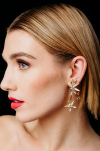 Adhara Earrings - Elizabeth Cole Jewelry