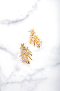 Celeste Earrings - Elizabeth Cole Jewelry