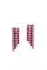 Julita Earrings - Elizabeth Cole Jewelry