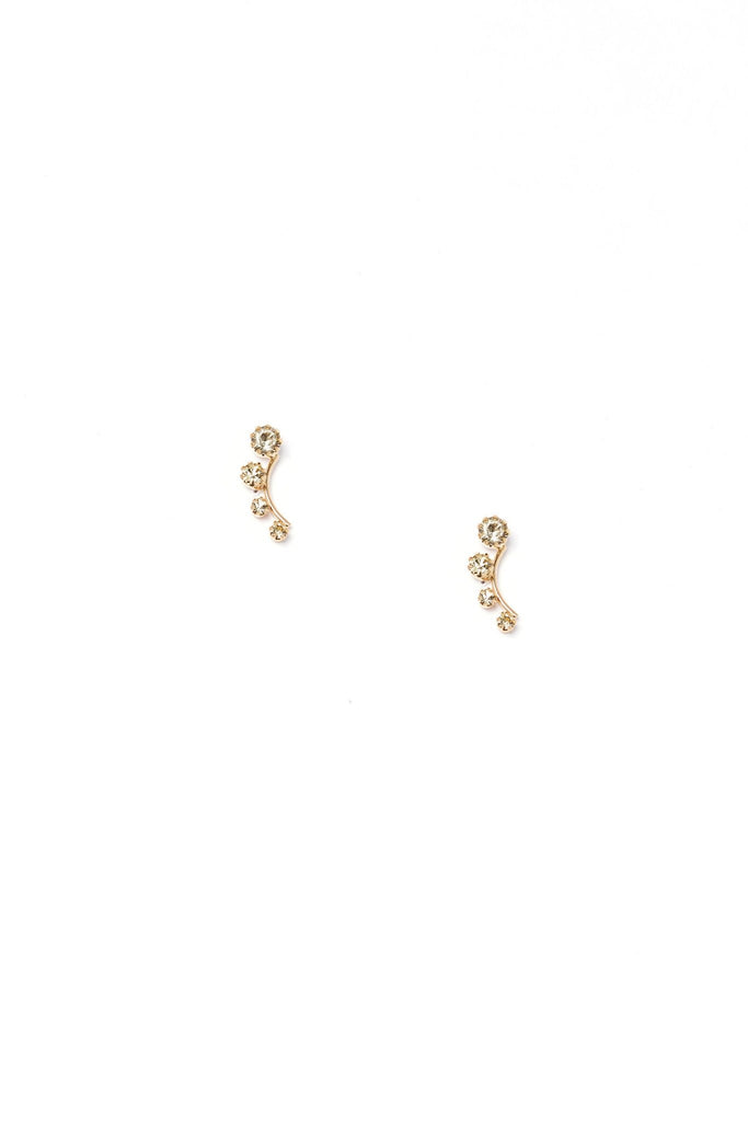 Kai Earrings - Elizabeth Cole Jewelry